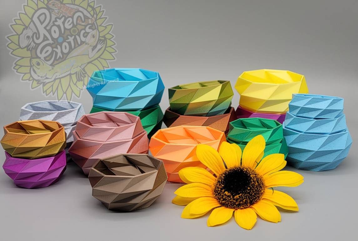 Biodegradable feeder bowl for reptiles, planters, etc.