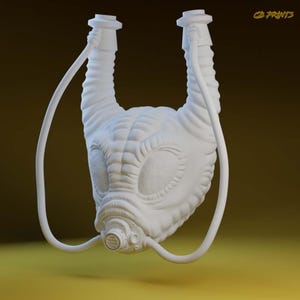 1/12 Auromae Iselo Headsculpt - Black Series Scale