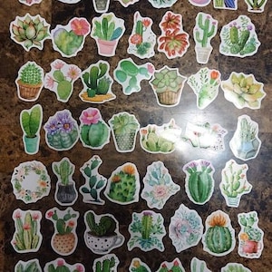 Plant Cactus Succulent Sticker 25 or 50 or 100 Pieces Stickers Laptop Bottle Car Free Shipping in Canada Only