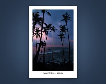Premium Poster Sri Lanka - Coconut Tree Hill Strand - Versandkostenfrei