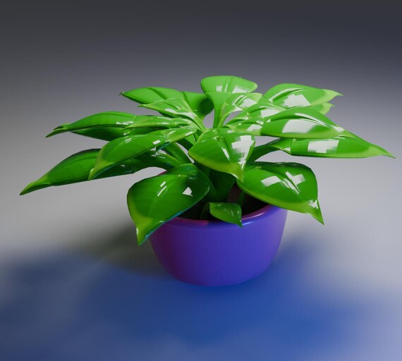 epipremnum pinnatum marble variegata pflege Epipremnum pinnatum Marble Variegata