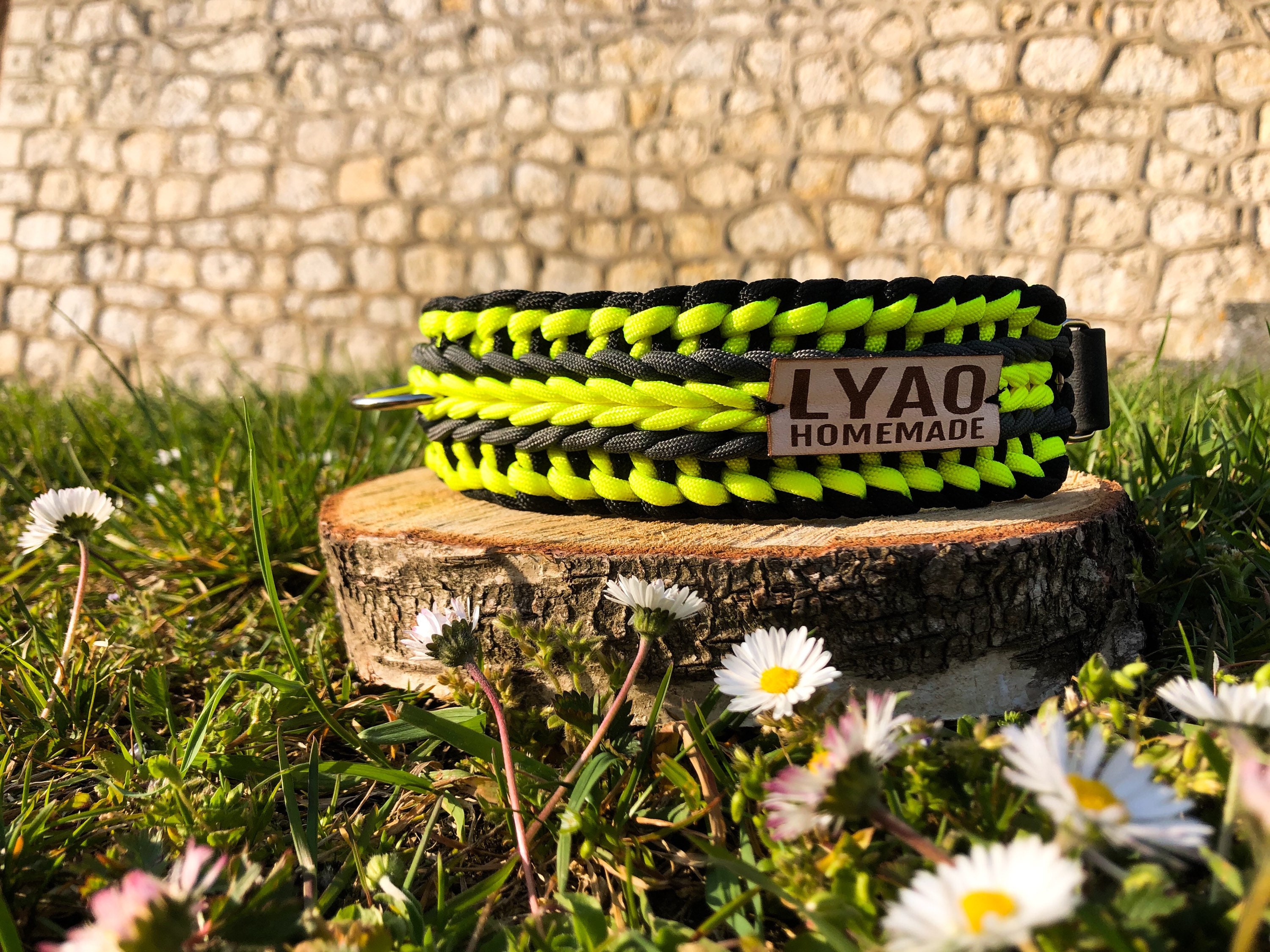 Collier en Paracord Pour Chien Model Melbourne