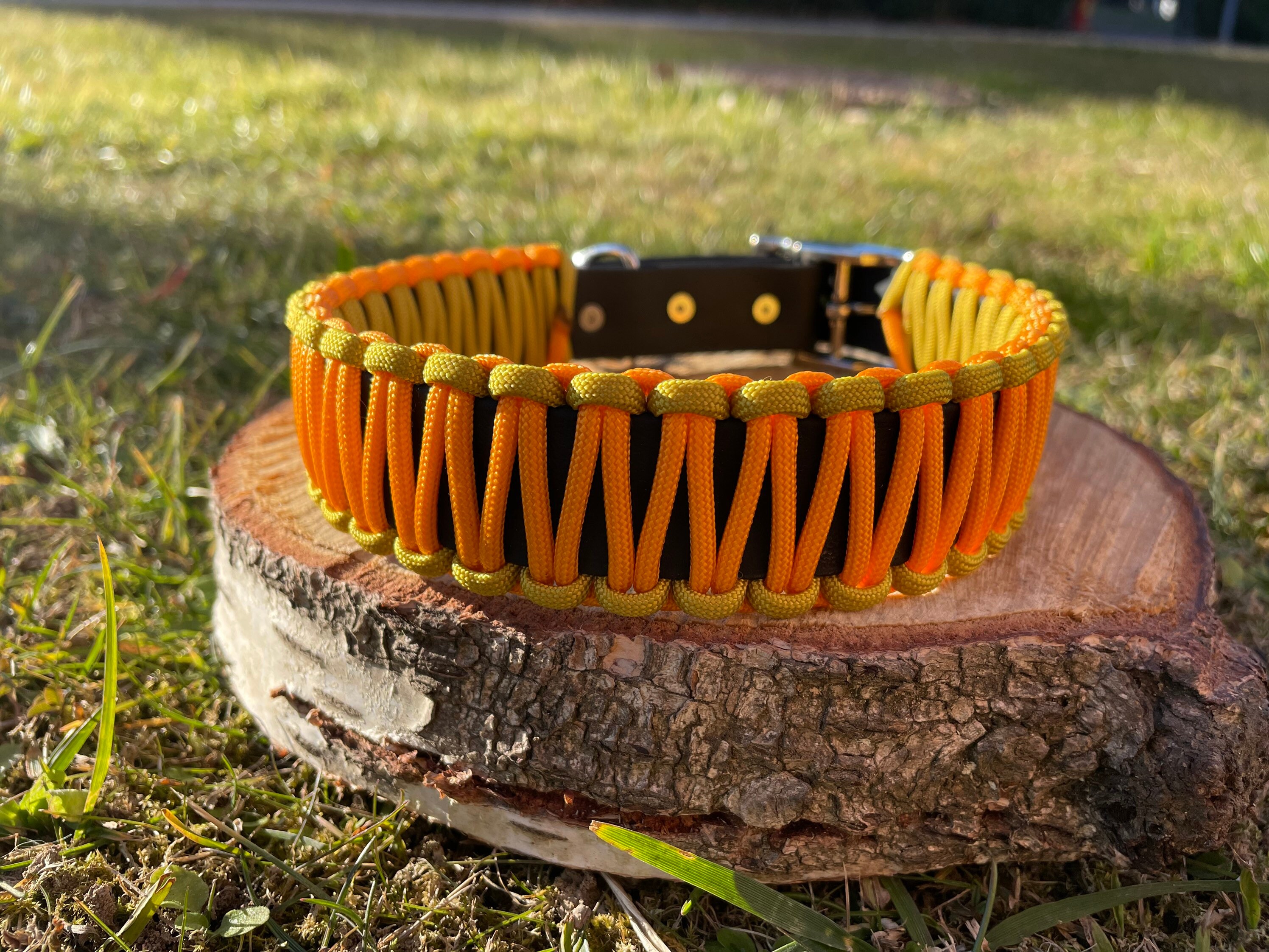 Collier Chuck en Paracord et Biothane Pour Chien