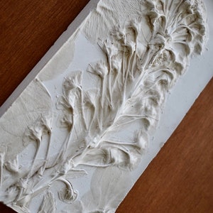Euphorbia characias wulfenii - botanical plaster cast tile