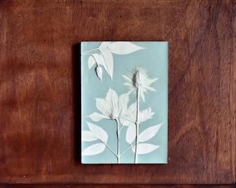 Carduus and Clematis - botanical plastercast - handpainted