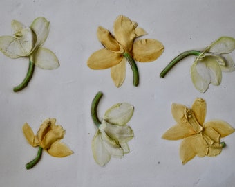 Orchidadeae - handpainted - botanical bass relief - handmade botanical plaster art