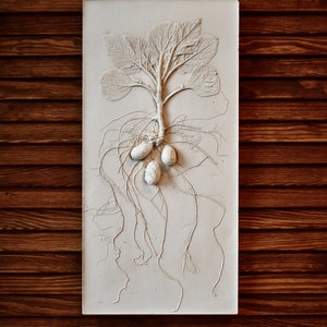 Puede incluir: Una escultura en relieve de yeso blanco de una planta de patata con hojas, raíces y cuatro patatas.