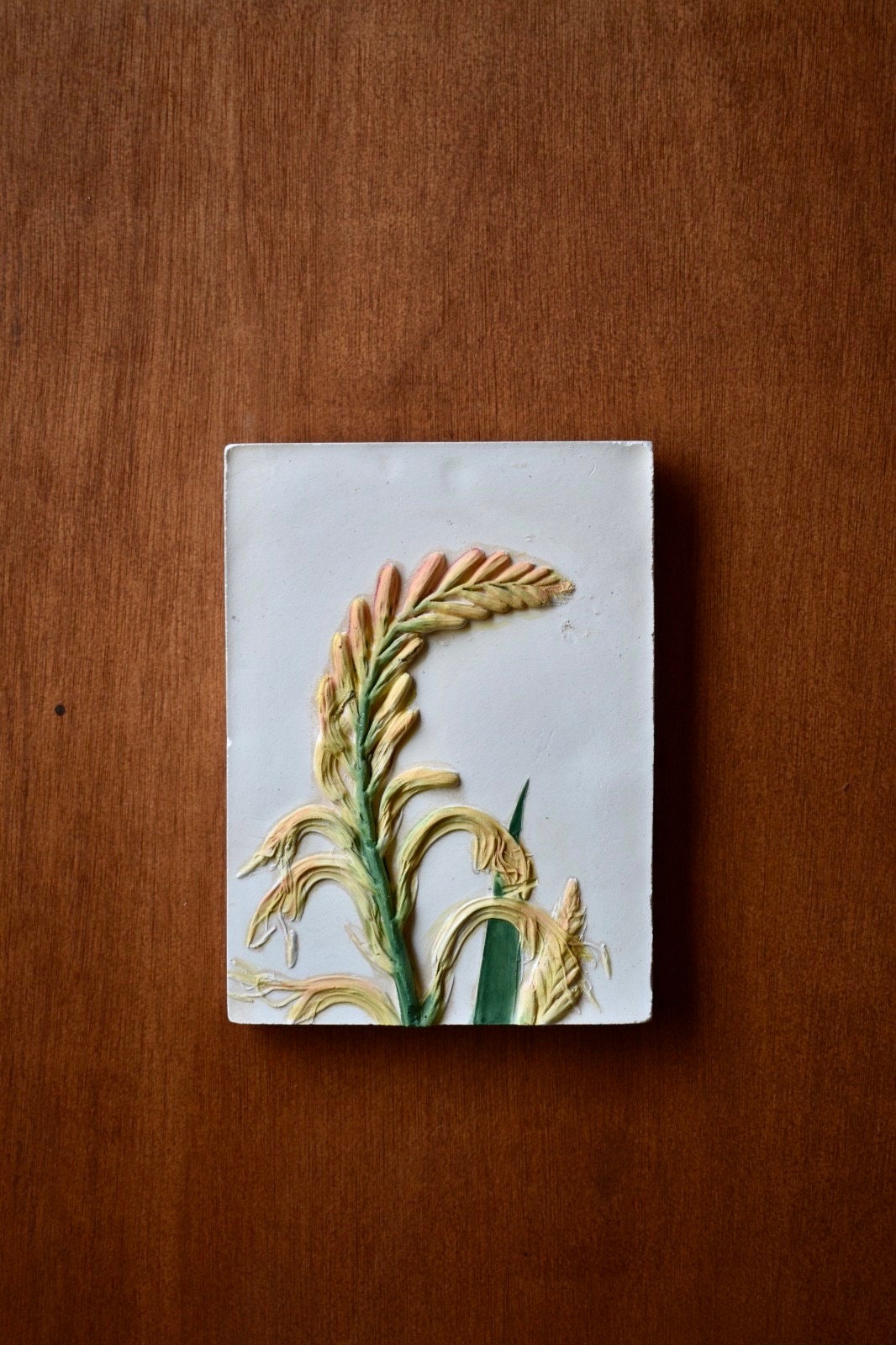 Chasmanthe floribunda - African flag - botanical bass relief - handpainted plasterwork