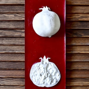 Punica granatum - Pomegranate - botanical bass relief - handmade and handpainted botanical plasterart