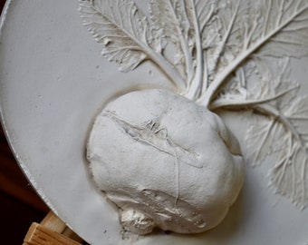 Brassica oleracea convar. acephala - Kohlrabi - botanical bass relief - handmade botanical plaster art with wooden easel