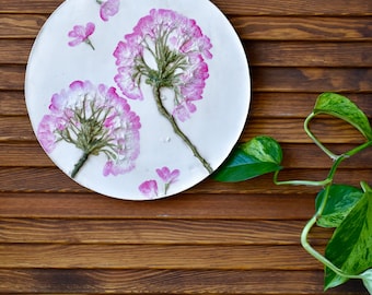 Cherry blossoms - Sakura - botanical bass relief - botanical plastercast tile