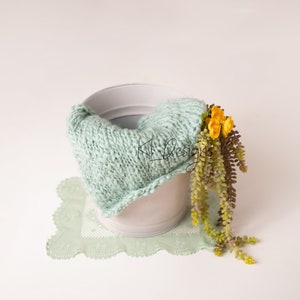 Toile de fond numérique Seau de photographie de nouveau-né avec plantes succulentes, Composite de seau pour nouveau-né, modèle de bébé, modèle de nouveau-né