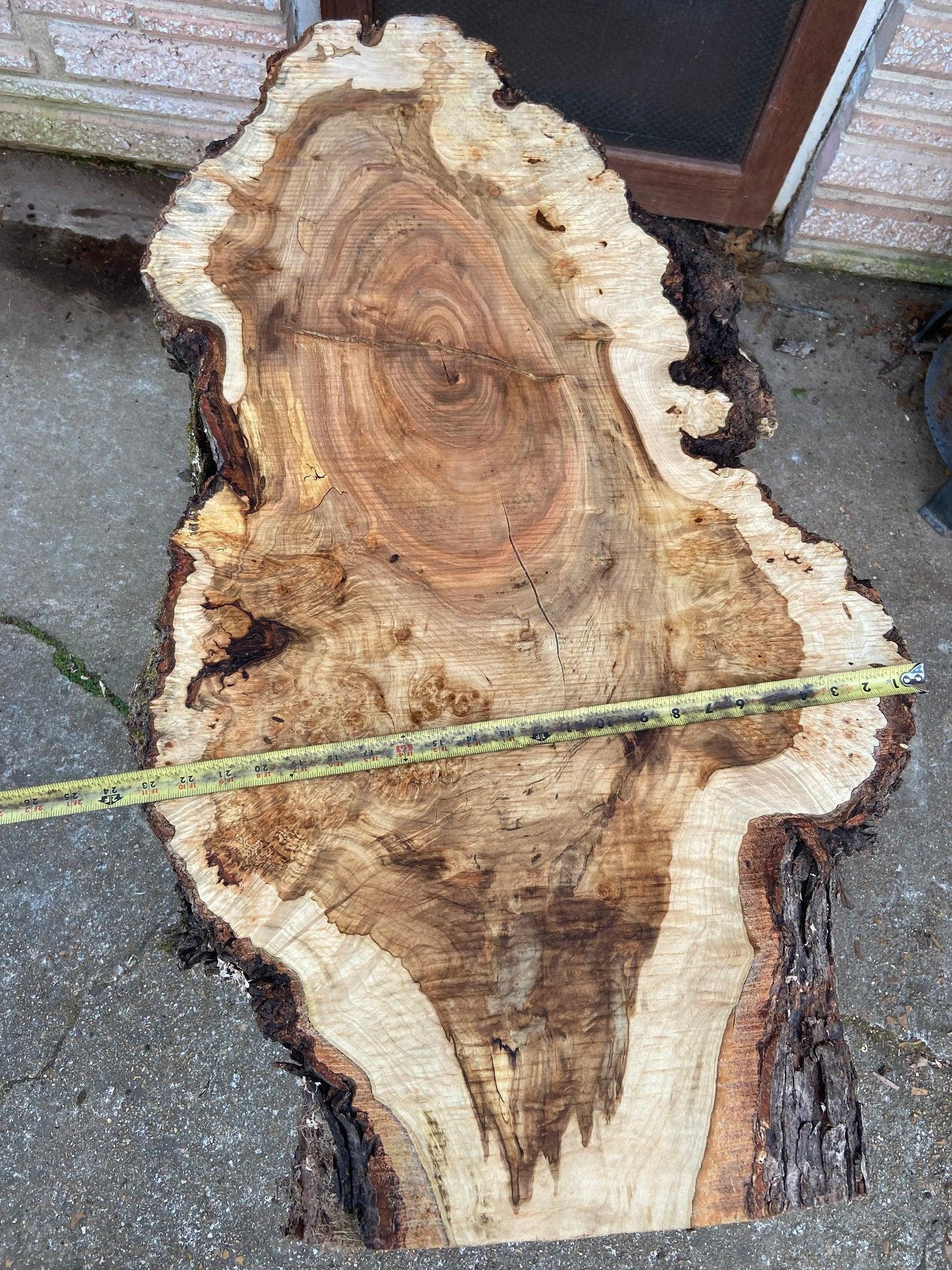 Burl Slab for sale Only 4 left at 70