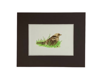 Original Bird pyrography on watercolor paper - nature-inspired home decor