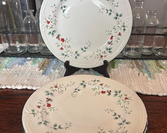 Pfaltzgraff Winterberry Christmas Holly Berry dinner plate 2 10” plates