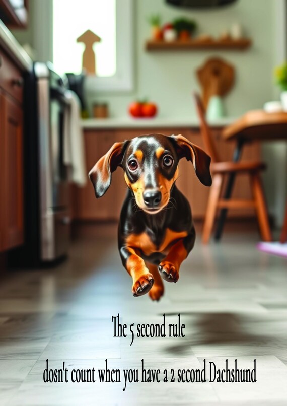 Customisable Dachshund Posters  A0 A1 A2 A3 A4 Dog lover