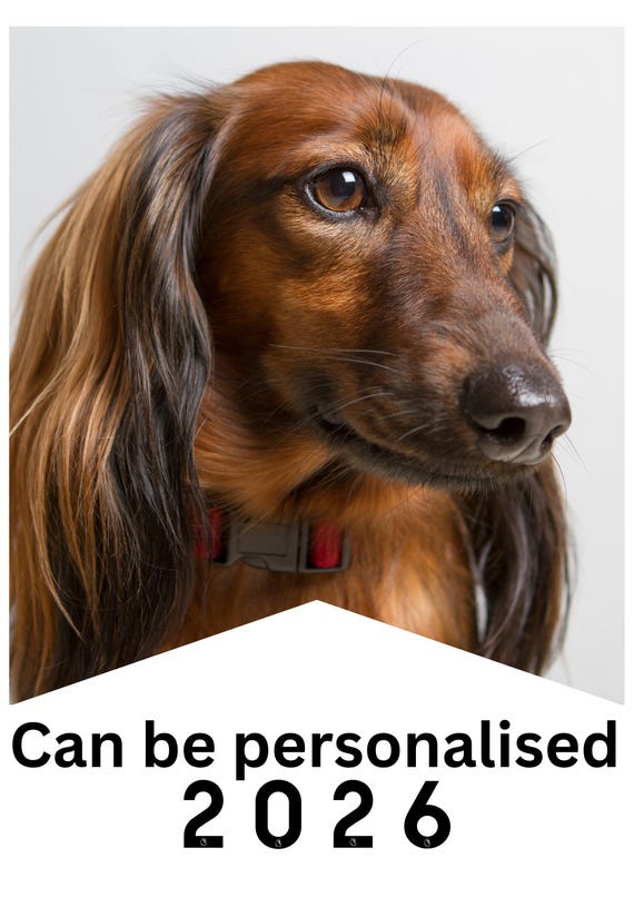 Personalised Pet  Calendar 2026 – The Pet Gift!