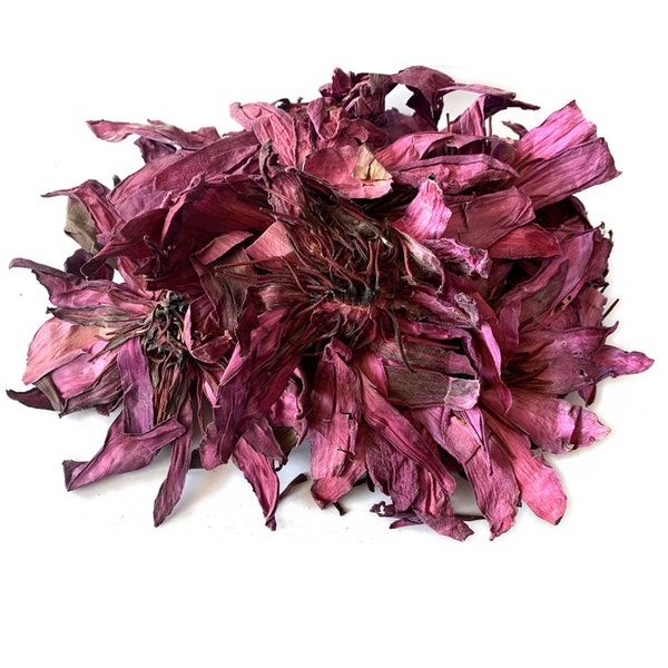 Whole PINK LOTUS Dried Flowers Nymphaea Caerulea Herbal Tea, Lucid Dreams, Stress, Anxiety Relief Etc....