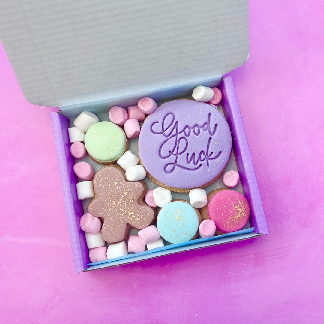 Good Luck Winter Themed Iced Biscuits Sugar Cookies Etsy