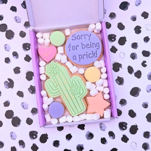 Sorry For Being A Prick, Apology, Iced Biscuits, Sugar Cookies, Letterbox Gift, Fun, Posticles