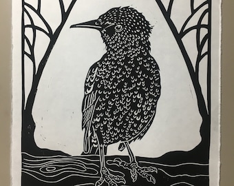 Hand printed Starling Bird. Original Hand Printed. Starling Bird in the Woods. linocut Starling Bird.