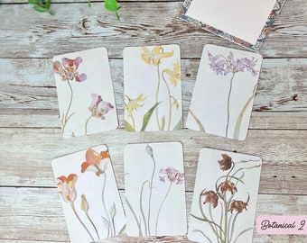 6 Botanical Sticker Set - Vintage - Die Cut - Floral - Stationary - Scrapbooking - Junk Journal  - Ephemera - Planner - Deco - Matte Paper 2