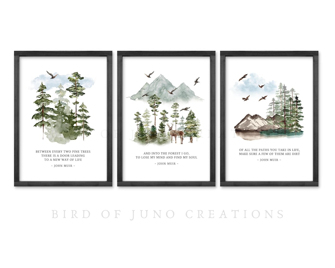 John Muir Quote Printable Wall Art Set of 3 Gallery Wall Etsy