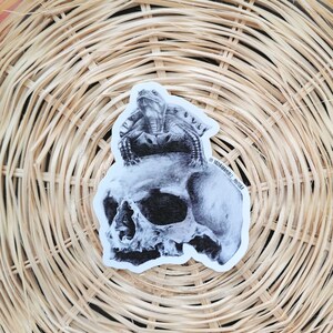 Schedel met schildpad sticker / Schedel vinyl sticker /
