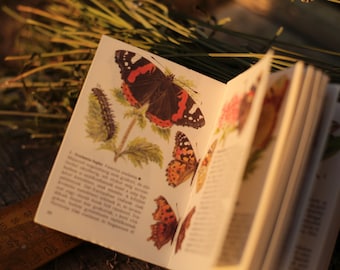 Kleines Taschennachschlagewerk über Schmetterlinge, europäisches Vintage Naturbuch, Aquarell Schmetterlinge antikes Buch, ungarisches Buch