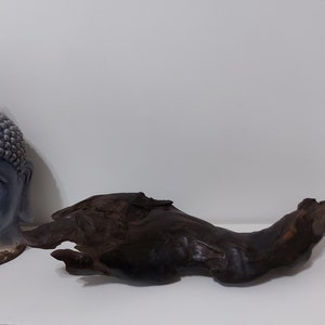 Driftwood decoration