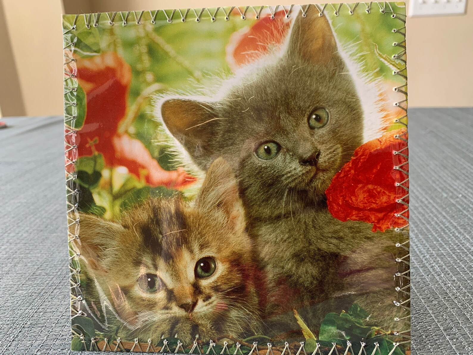 Cute Cats Frame Various Etsy