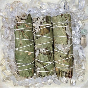 Eucalyptus and White Sage Bundle