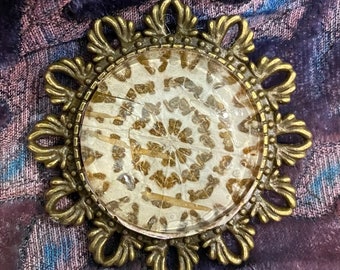 Bitten birch bark brooch (dark)