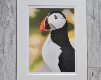 Puffin Print, Seabird Illustration, Sea Bird,Atlantic Puffin for Dad, Seaside Print, Nautical Decor, Coastal Wall Art, Gift for Bird Watcher