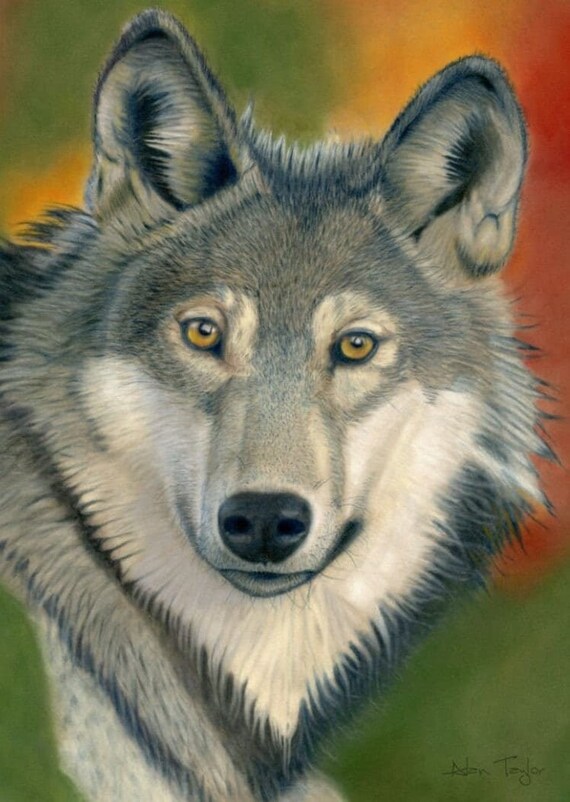 Grey Wolf Print, Pastel Painting print, Birthday gift for Dad, Earth Tone decor, Print for Animal Lovers, Wolf picture