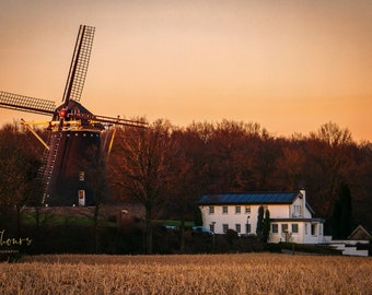 Dutch Sunset