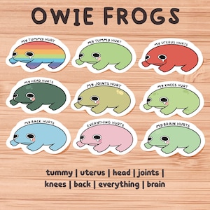 Cute Crying Frog Sticker, My Tummy Hurts, Joints Hurt, Head Hurts, Get Well Soon Gift, Gift for Frog Lovers, Matte Frog Stickers, Green Frog