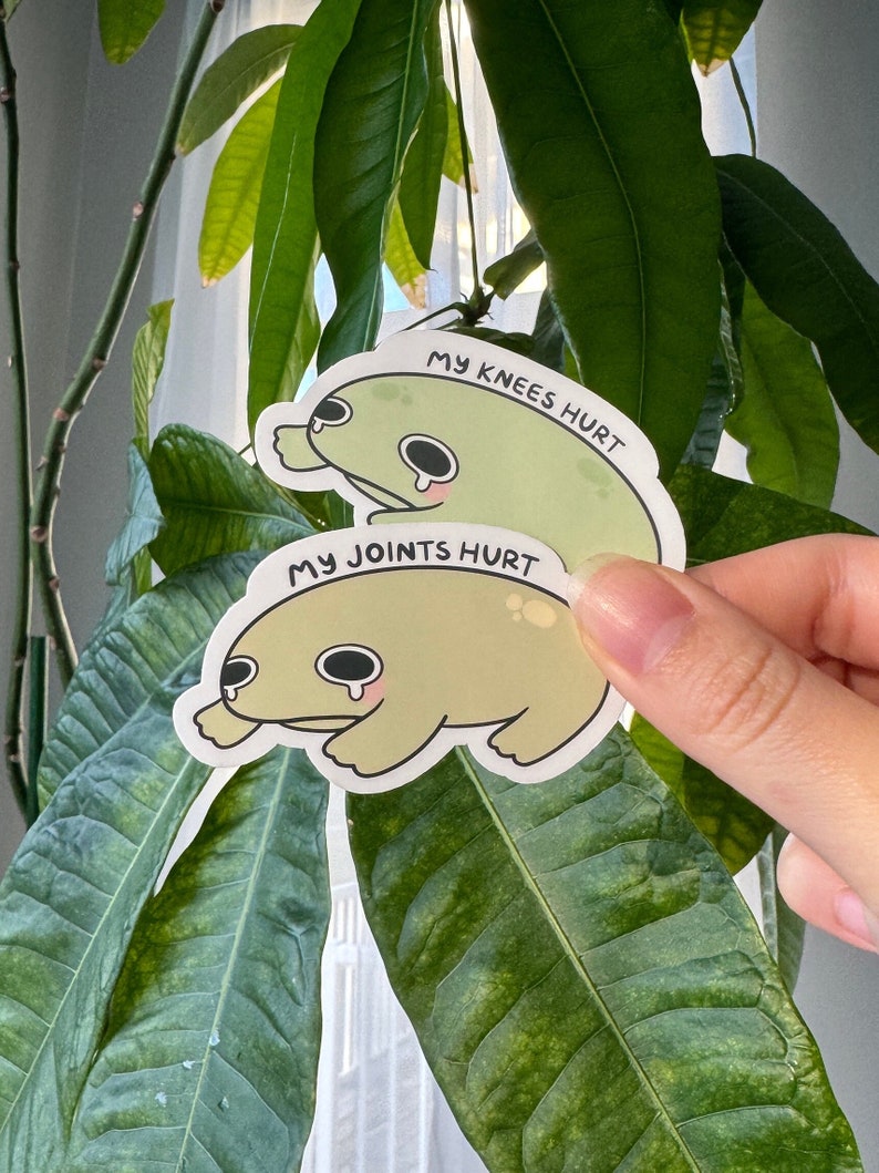Puede incluir: Dos pegatinas de rana de dibujos animados con caras tristes. La pegatina de arriba dice "Mis rodillas me duelen" y la pegatina de abajo dice "Mis articulaciones me duelen".
