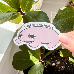 Puede incluir: Una pegatina blanca con un dibujo de rana rosa de dibujos animados con una expresi&oacute;n triste y el texto "EVERYTHING HURTS".