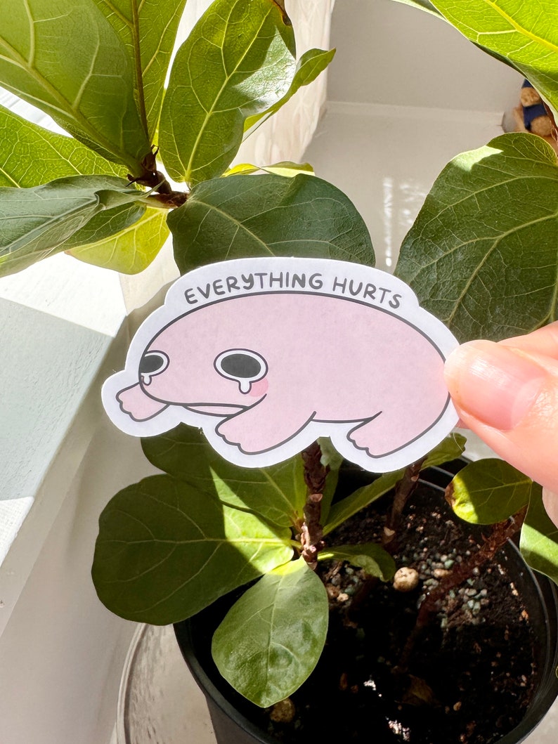Puede incluir: Una pegatina blanca con un dibujo de rana rosa de dibujos animados con una expresi&oacute;n triste y el texto "EVERYTHING HURTS".