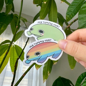 Puede incluir: Dos pegatinas con ranas de dibujos animados con el texto "My Tummy Hurt". La pegatina superior presenta una rana verde con una l&aacute;grima. La pegatina inferior presenta una rana arco&iacute;ris con una l&aacute;grima.