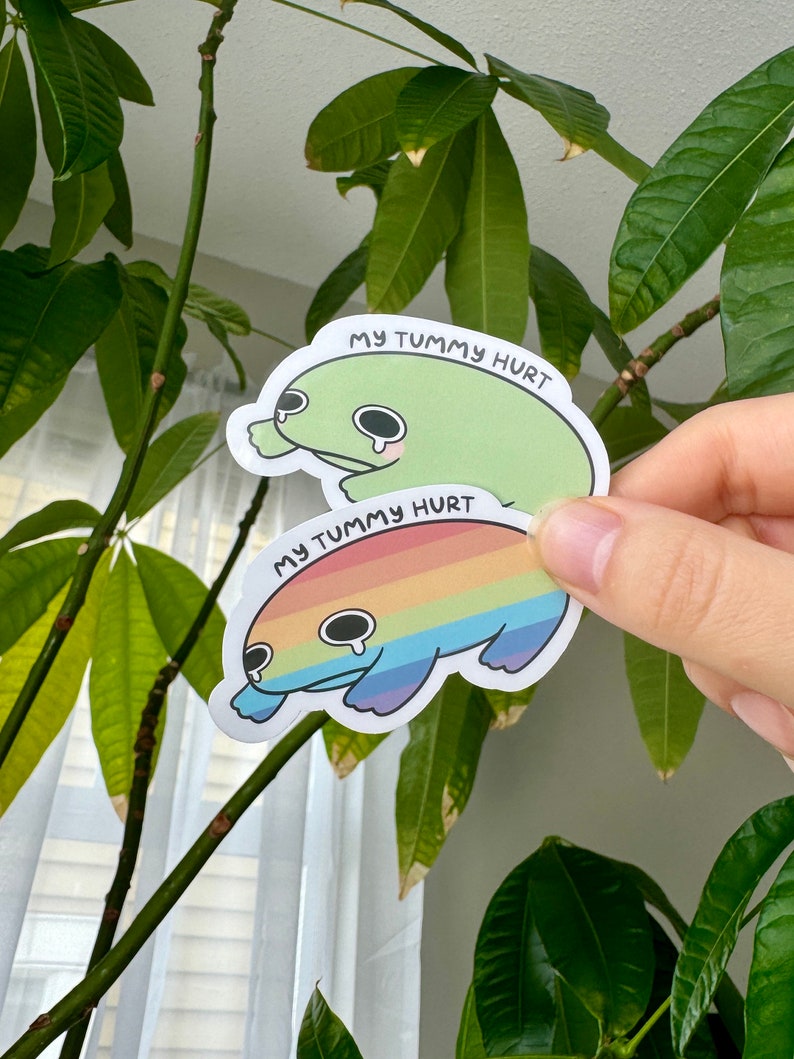 Puede incluir: Dos pegatinas con ranas de dibujos animados con el texto "My Tummy Hurt". La pegatina superior presenta una rana verde con una l&aacute;grima. La pegatina inferior presenta una rana arco&iacute;ris con una l&aacute;grima.