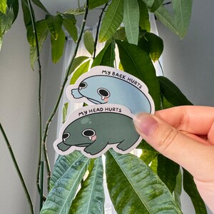 Puede incluir: Dos pegatinas de rana con caras tristes y texto que dice "Me duele la cabeza" y "Me duele la espalda".