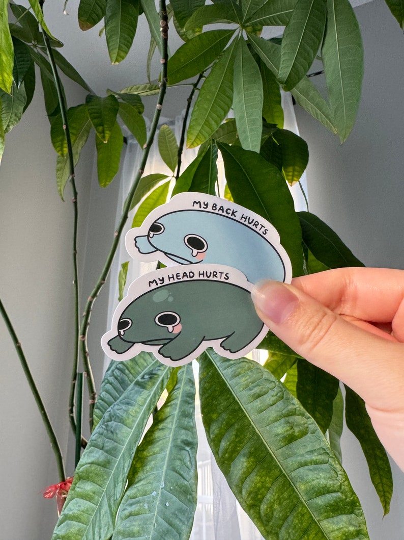 Puede incluir: Dos pegatinas de rana con caras tristes y texto que dice "Me duele la cabeza" y "Me duele la espalda".