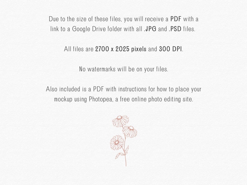 May include: Text on a white background that reads: "Due to the size of these files, you will receive a PDF with a link to a Google Drive folder with all .JPG and .PSD files. All files are 2700 x 2025 pixels and 300 DPI. No watermarks will be on your files. Also included is a PDF with instructions for how to place your mockup using Photopea, a free online photo editing site."