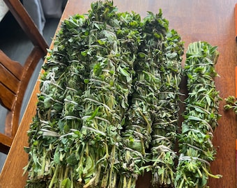 Oregano Smudge Stick, Homegrown Herbs