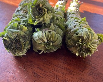 Golden Sage Smudge