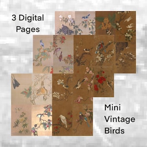 Digital Mini Vintage Birds - Sized Down 4 Use In Mini Junk Journals - Collage With Bird Images -  Pockets