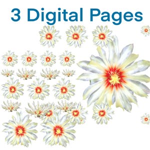 Fussy Cut Flower - Digital Embellishment Kit - For Junk Journal - Cactus Flower - White - Orange - Red - Yellow