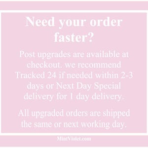 May include: A light pink background with a white border and text that reads "Need your order faster?" and information about shipping upgrades. The website address "MintViolet.com" is at the bottom.